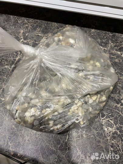 Морская галька