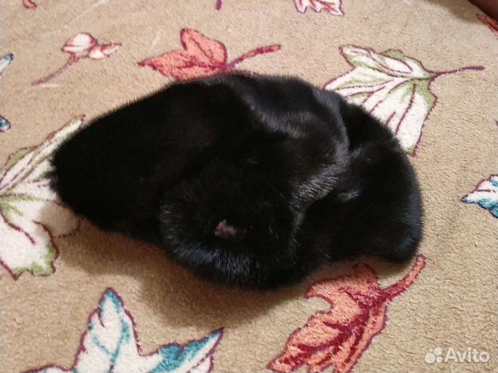 Берет норковый