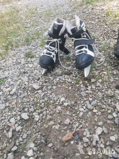 Ролики мужские