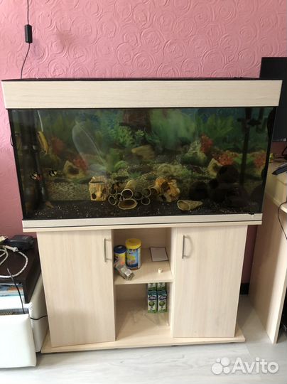 Аквариум 200 литров с тумбой