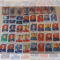 Наклейки panini кхл 2023 2024