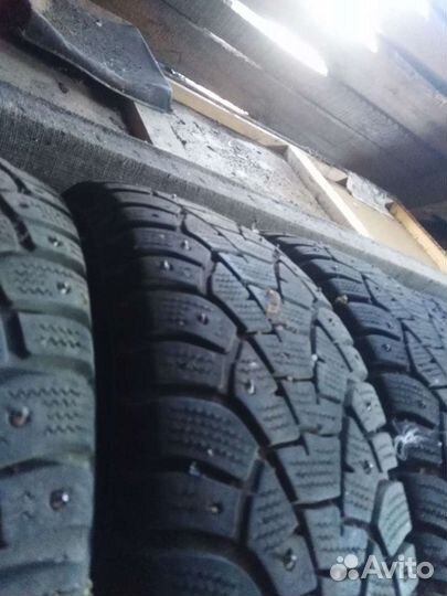 Matador MP 51 Sibir 2 195/65 R15