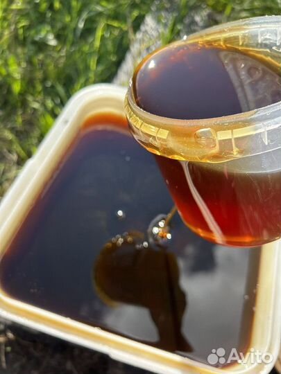 Мед Гречишный опт