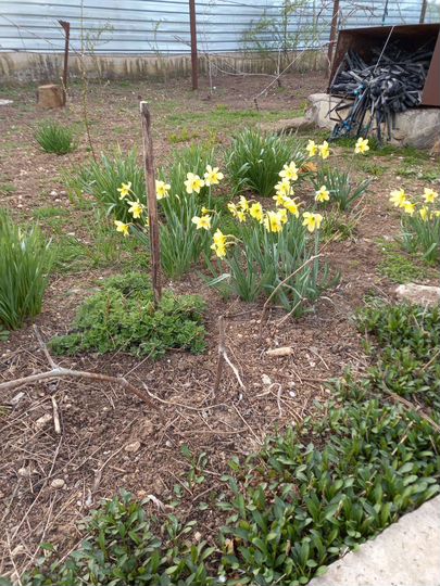 Дом 120 м² на участке 15 сот.