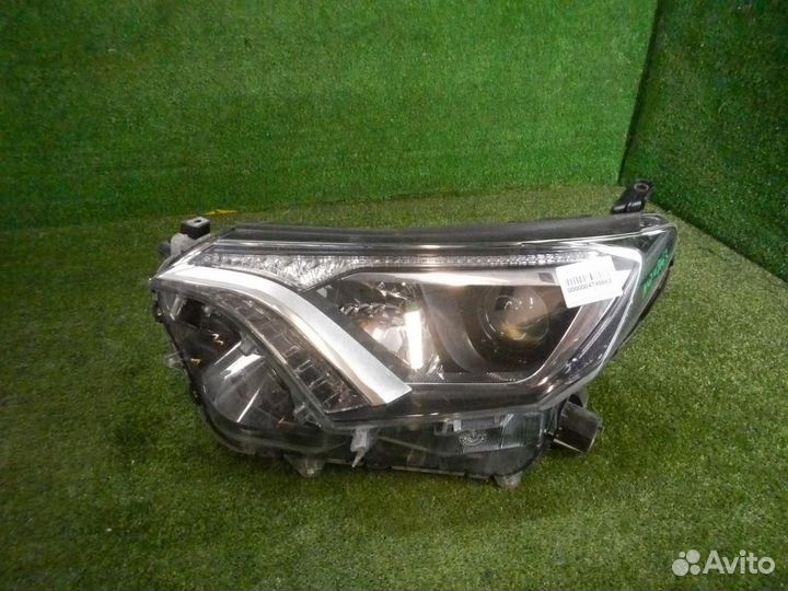 Фара левая Toyota RAV4