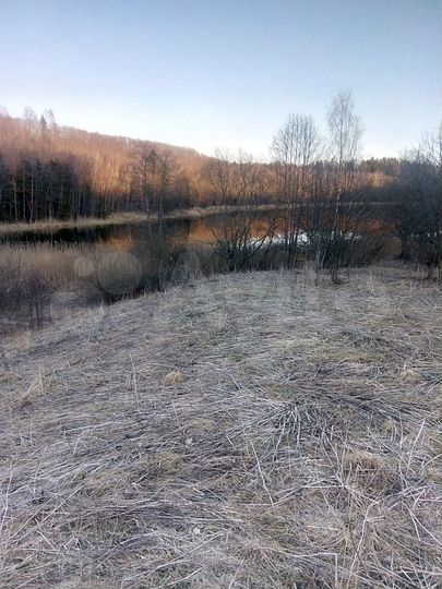 Участок 12 га (СНТ, ДНП)