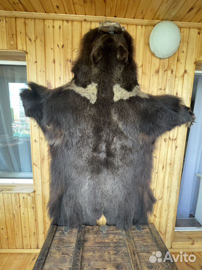 Шкура медведя (имитация)