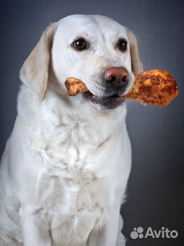 Рубец для собак