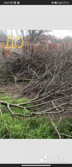 Спил и обрезка деревьев