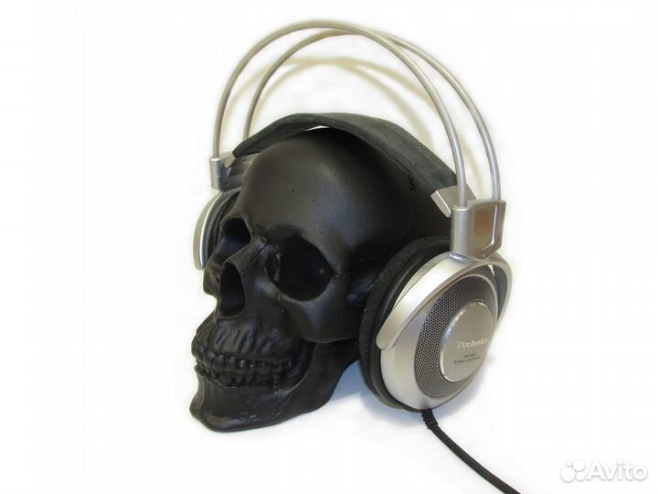 Модель черепа