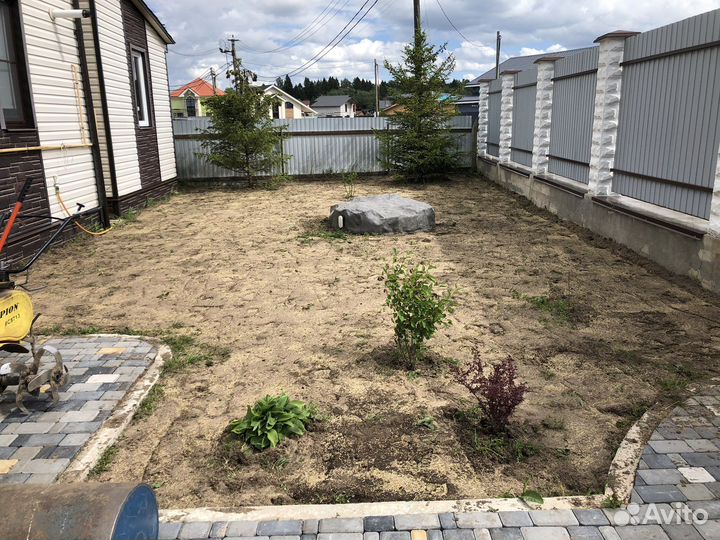 Семена газонной травы многолетние