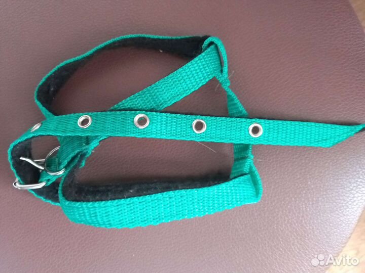 Шлейка для кошки или мелкой собачки