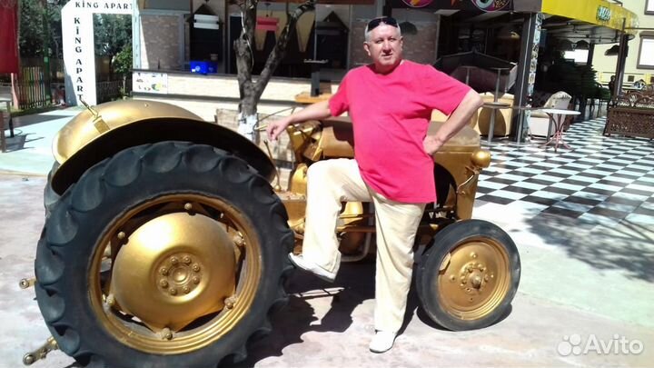 Передержка животных и птиц на вашей территории