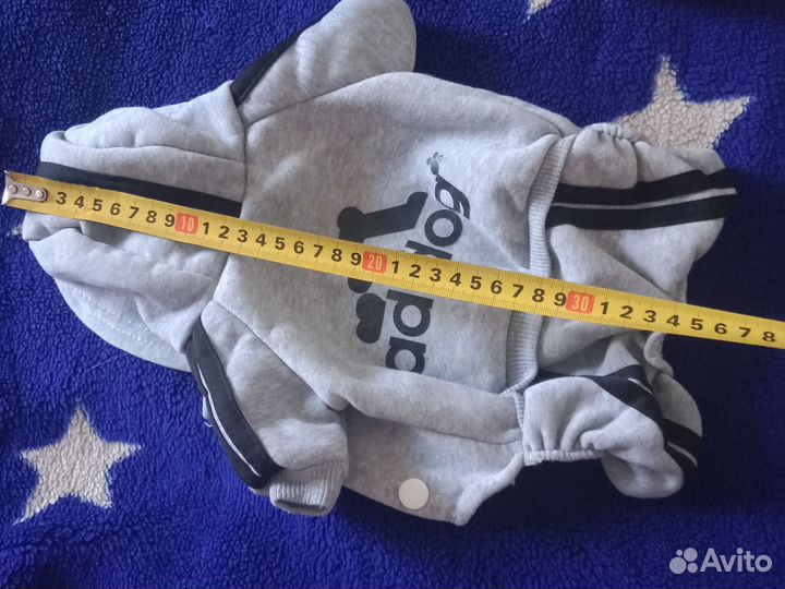 Одежда для маленьких собак