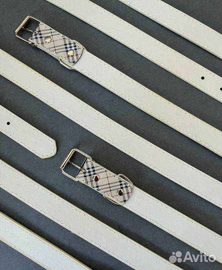 Ошейник для собак мелких, средних и крупных пород