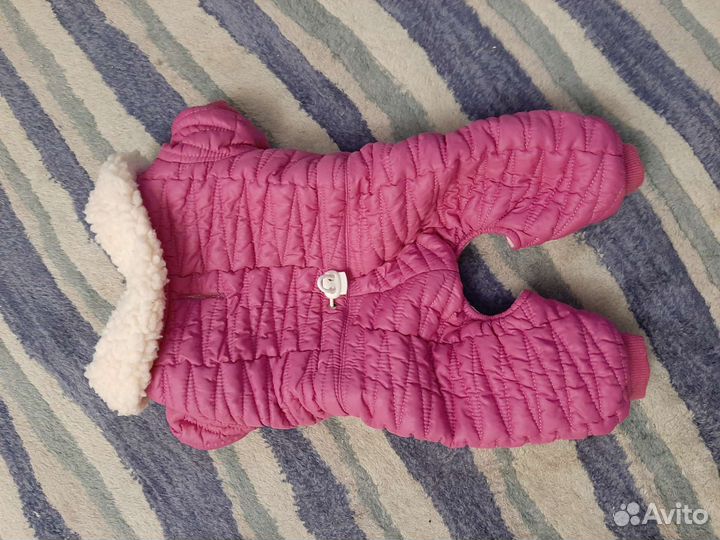 Суперодежонка для братьев наших меньших