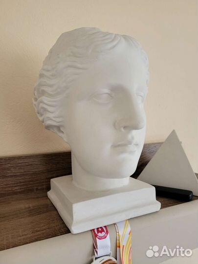 Бюст Венера Милосская