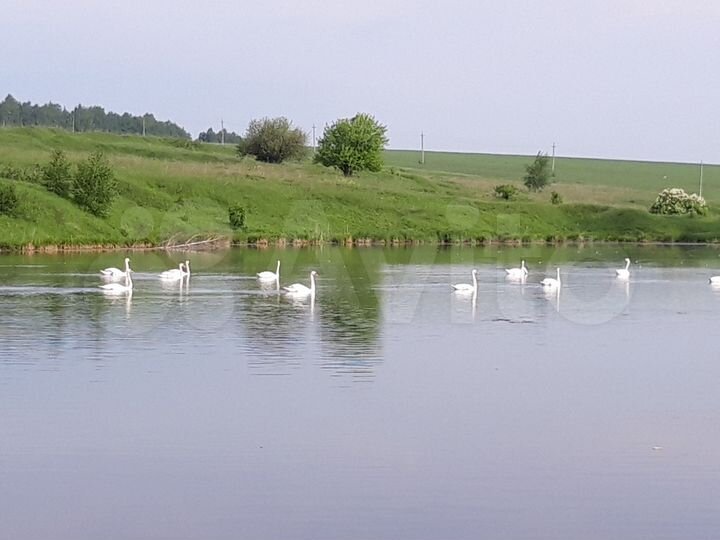 Участок 8 сот. (ИЖС)