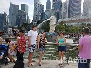 Зарубежная программа Merlion English