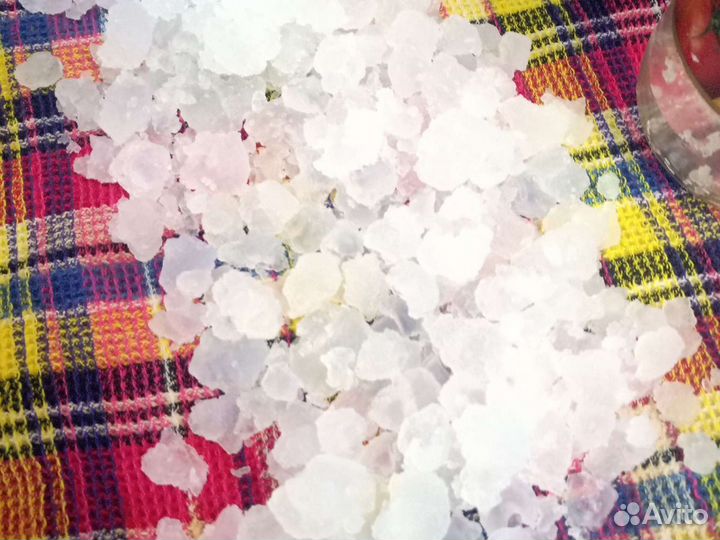 Индийский гриб (рисовый)