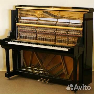 Настройщик фортепиано (пианино)