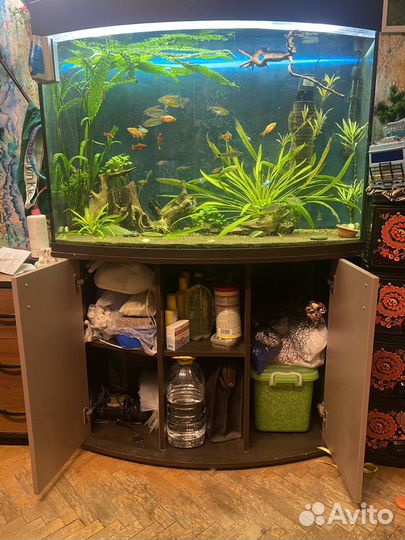 Аквариум с тумбой 400 литров
