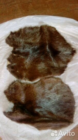 Шкура норки