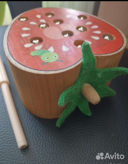 Магнитные червячки