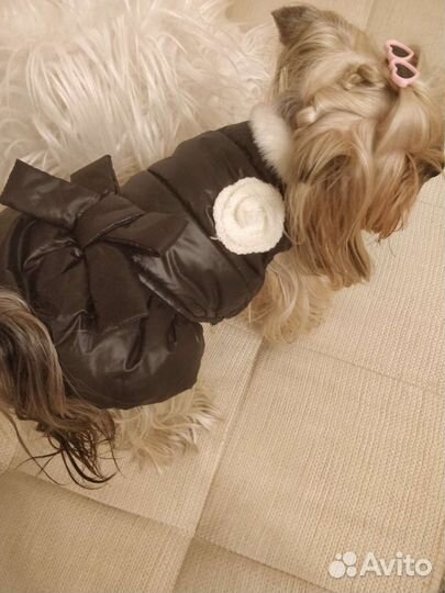 Жилетка-куртка