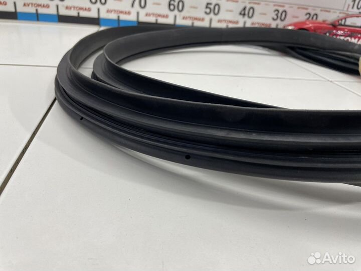 Уплотнитель проема двери задний левый