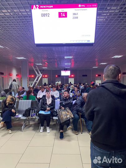 Миграционный юрист ведение дел и помощь