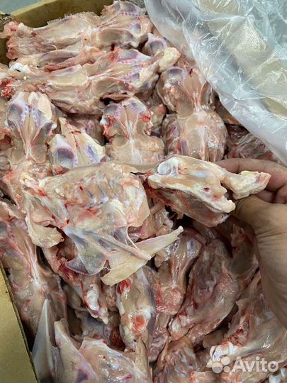 Корм для собак мясо