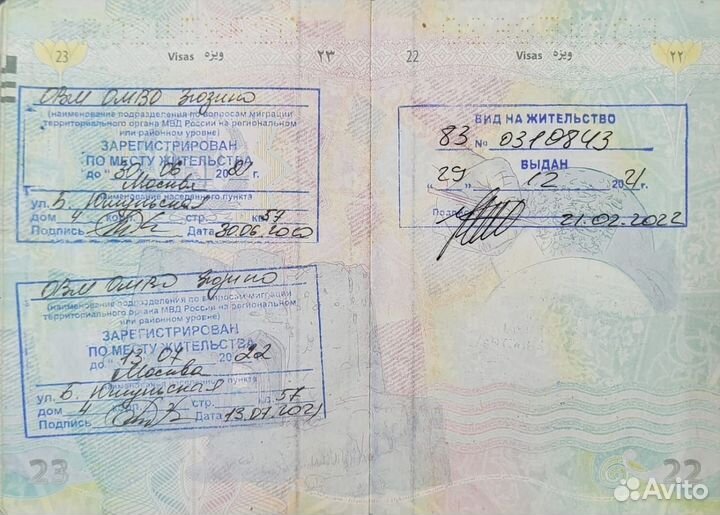 РВП ВНЖ Гражданство РФ