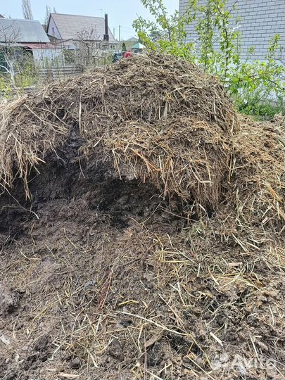 Конский навоз