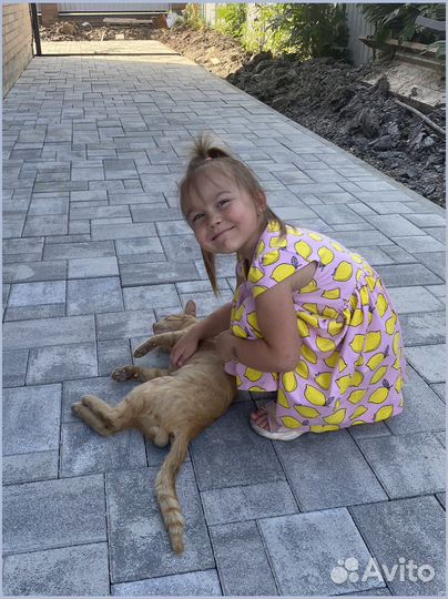 Тротуарная плитка. Производитель. Завод. Доставка