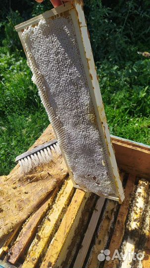 Сотовый мёд