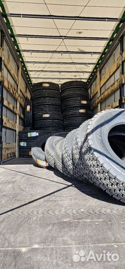 Evergreen свежий завоз