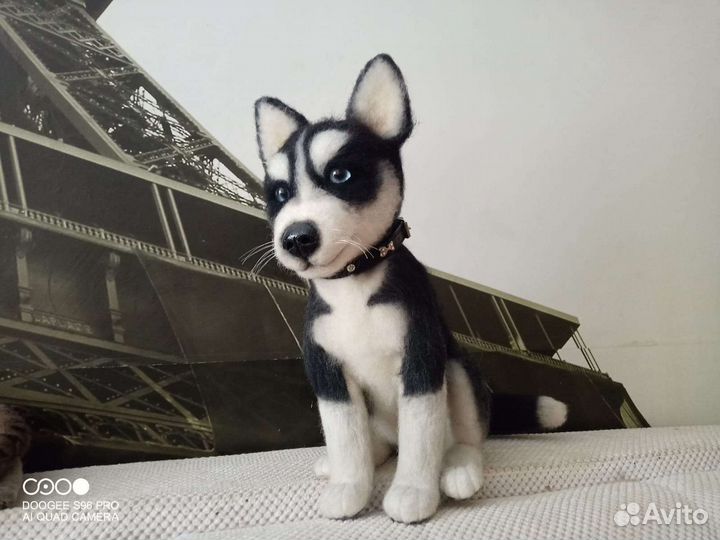 Собака хаски - валяная из шерсти игрушка