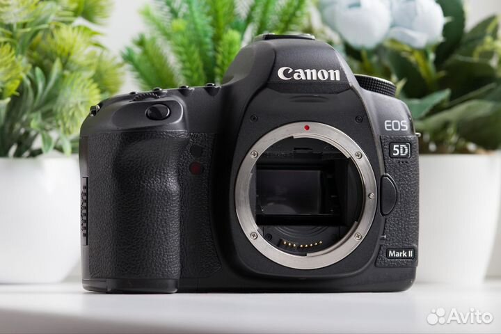 Canon 5D Mark II