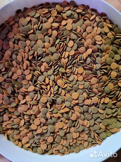 Корм для рыб Tetra хлопья, таблетки, чипсы развес