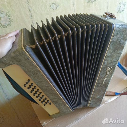 Гармонь весна