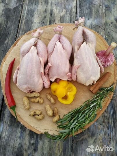 Мясо цыплят корнишонов