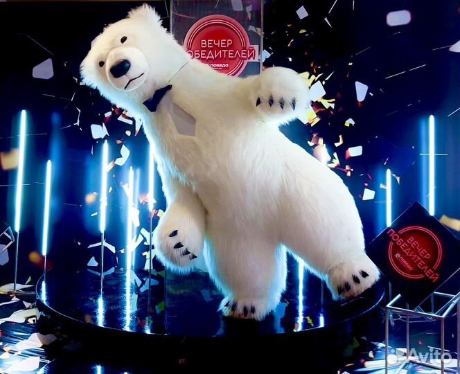 Белый мишка. Гендер пати. Танцующий медведь