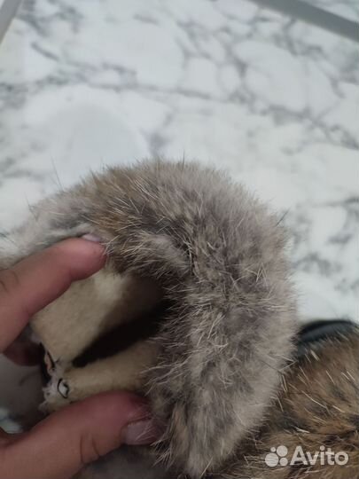 Ботинки осень