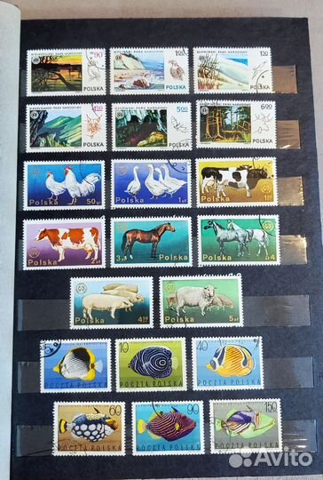 Коллекция марок 