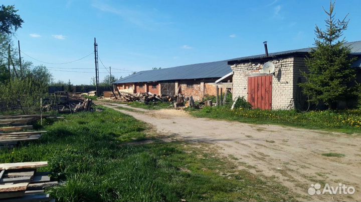 Деревоперерабатывающее предприятие в аренду