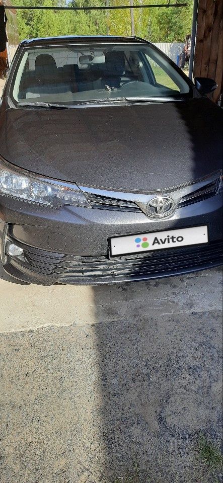 Toyota Corolla: фото владельца