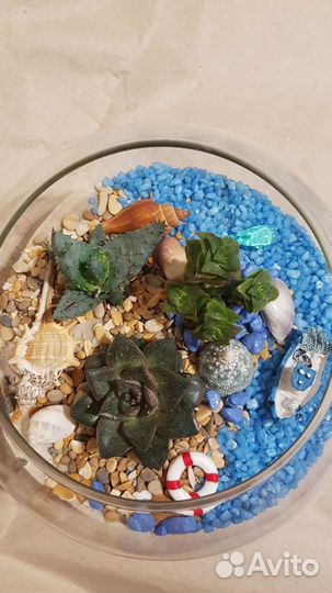 Флорариумы в морском стиле
