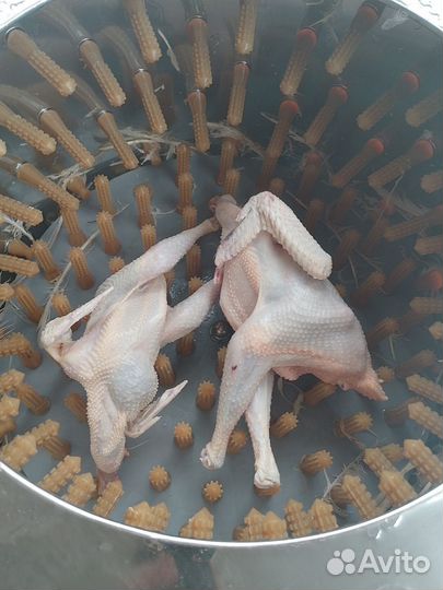 Перосъемная машина аренда