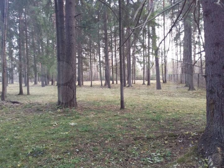 Участок 33 сот. (СНТ, ДНП)